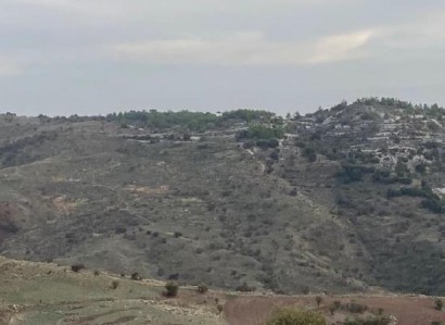 Faleia, Paphos Agricultural Field For Sale | WW29212