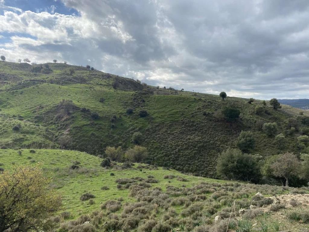 Kelokedara, Paphos Agricultural Field For Sale | WW29214