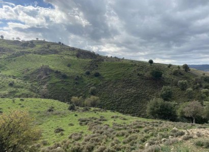 Kelokedara, Paphos Agricultural Field For Sale | WW29214