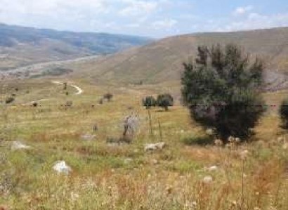 Pentalia, Paphos Agricultural Field For Sale | WW29215