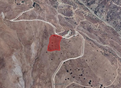 Pentalia, Paphos Agricultural Field For Sale | WW29215