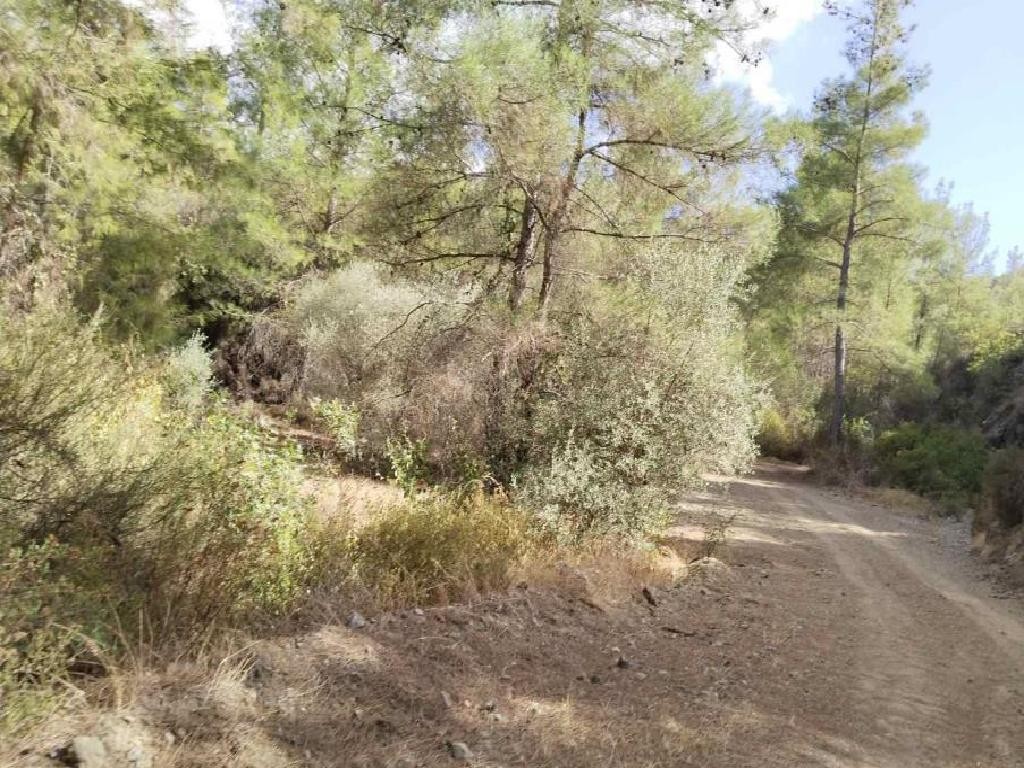 Lysos, Paphos Agricultural Field For Sale | WW29217