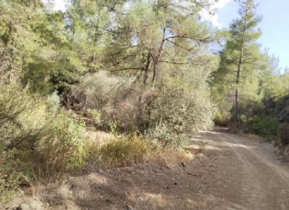 Lysos, Paphos Agricultural Field For Sale | WW29217