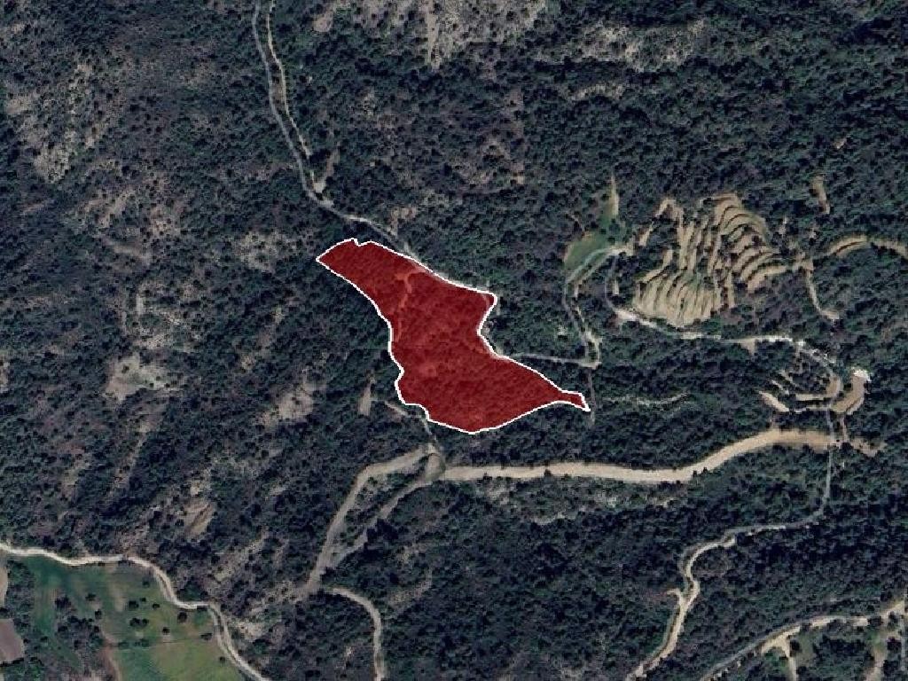 Χωράφι - Λυσός, Πάφος