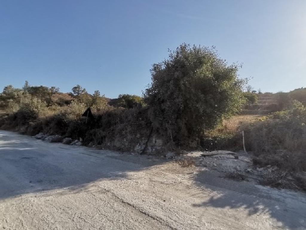 Giolou, Paphos Agricultural Field For Sale | WW29241