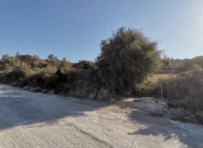 Giolou, Paphos Agricultural Field For Sale | WW29241