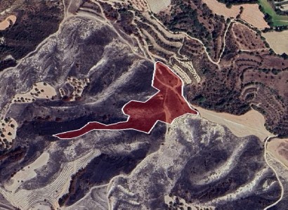 Giolou, Paphos Agricultural Field For Sale | WW29241