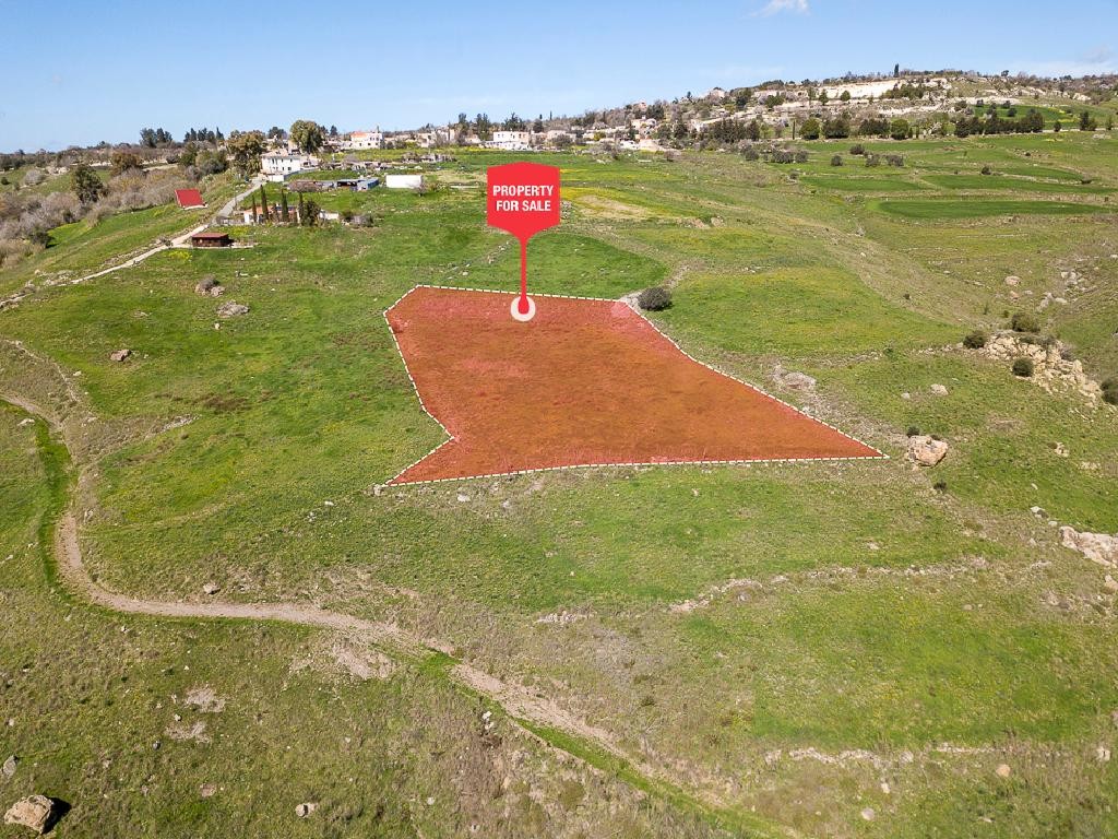 Thrinia, Paphos Agricultural Field For Sale | WW29242