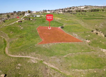 Thrinia, Paphos Agricultural Field For Sale | WW29242