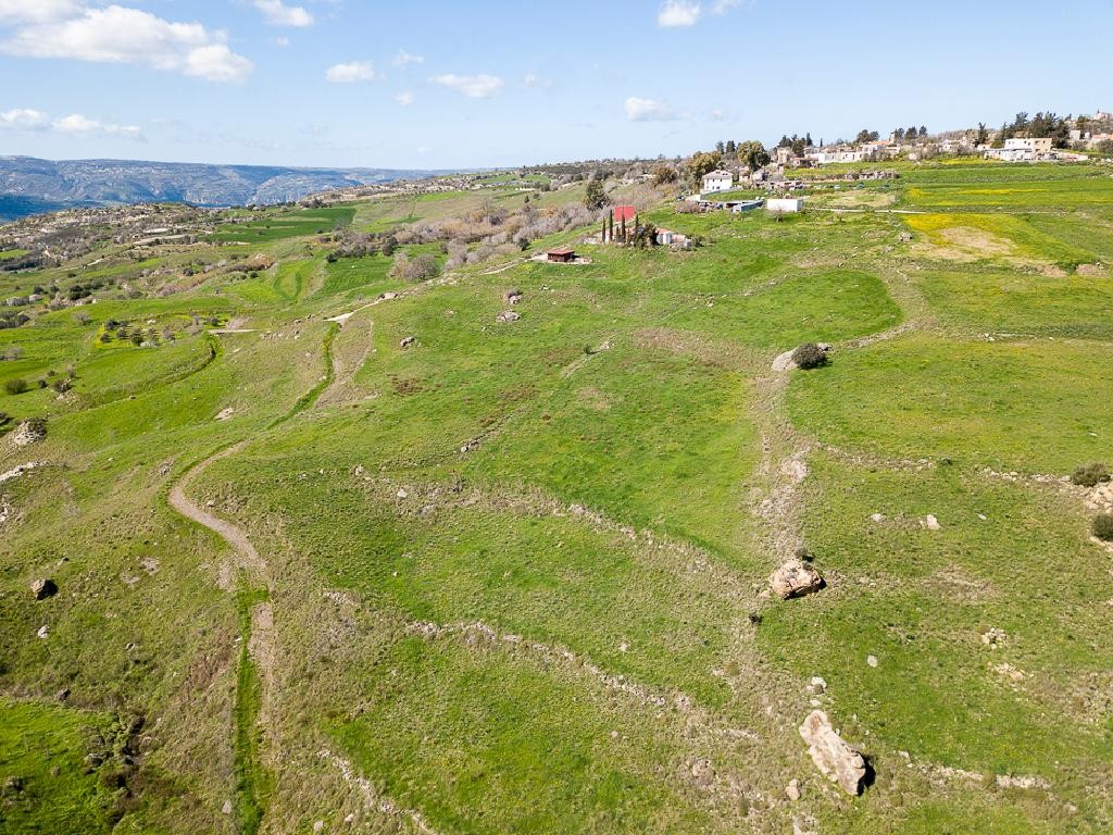 Field - Thrinia, Paphos