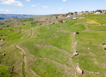 Thrinia, Paphos Agricultural Field For Sale | WW29242