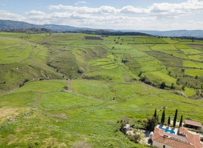 Thrinia, Paphos Agricultural Field For Sale | WW29242