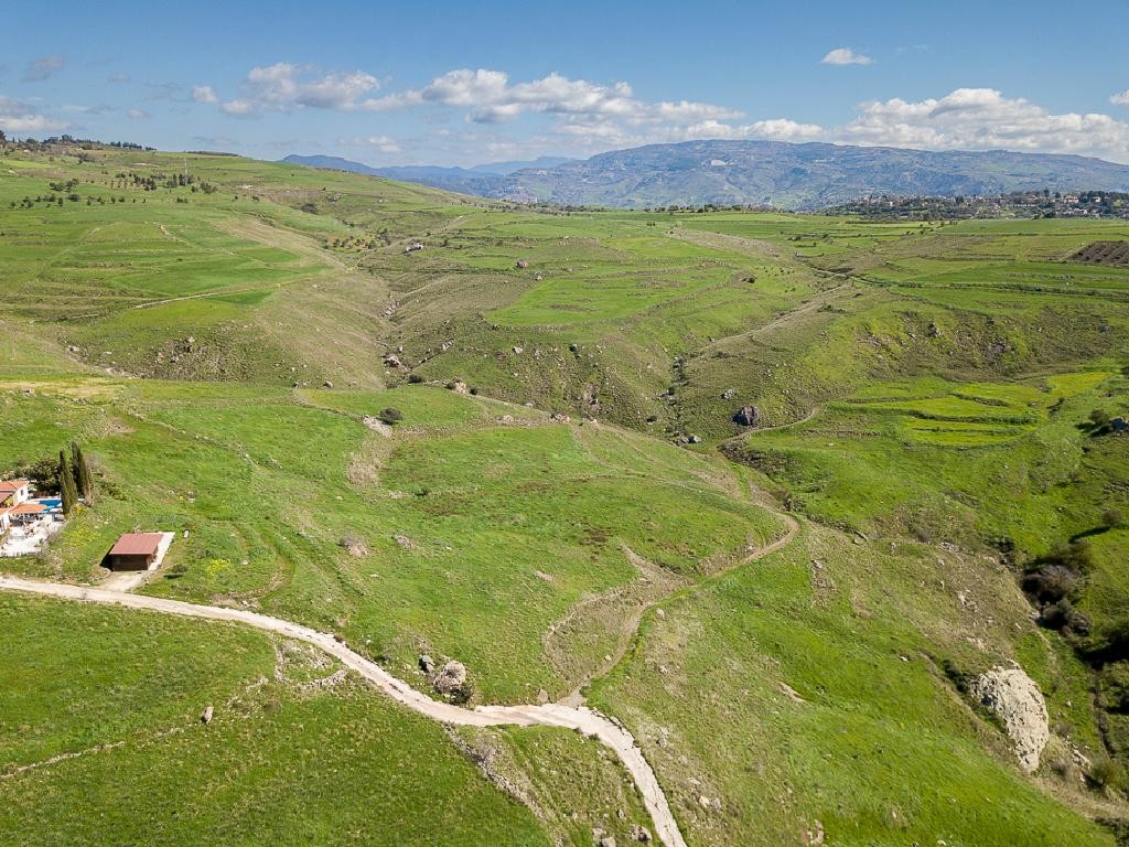 Field - Thrinia, Paphos