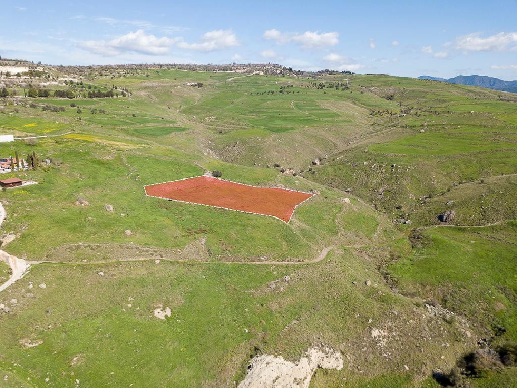 Field - Thrinia, Paphos