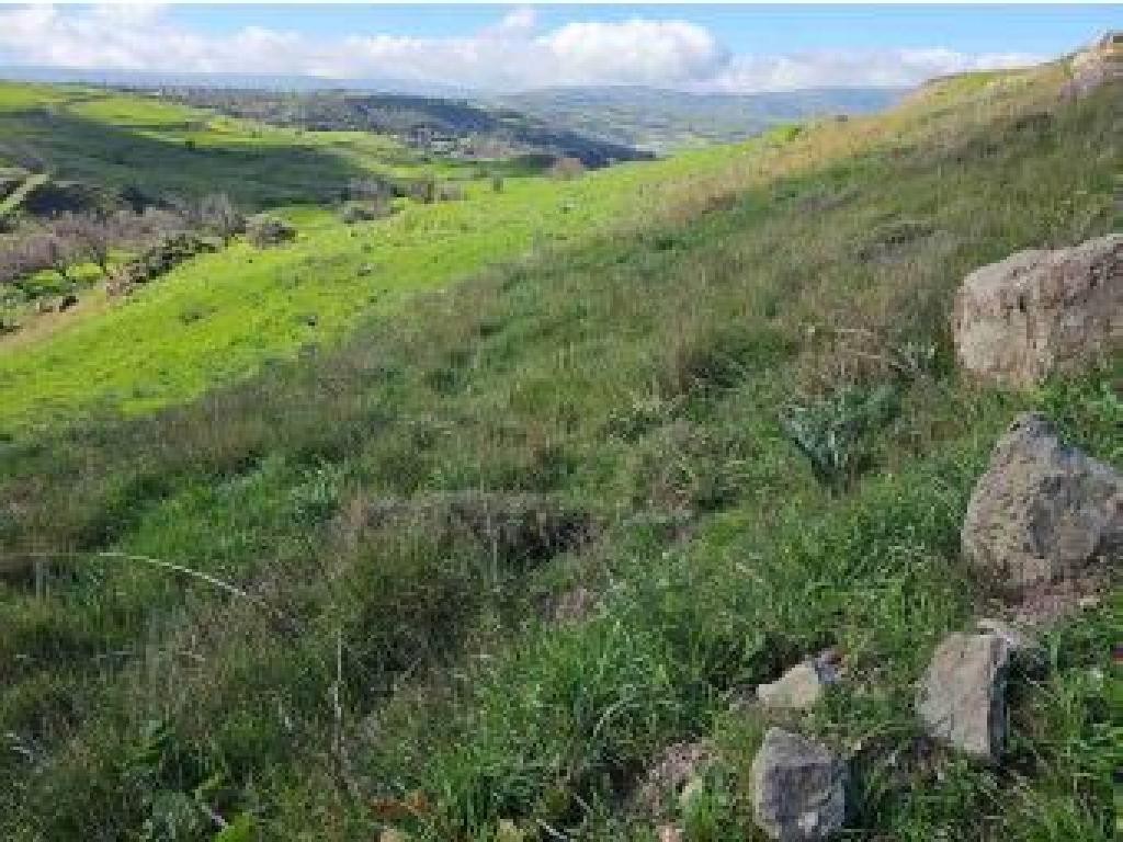 Field - Thrinia, Paphos