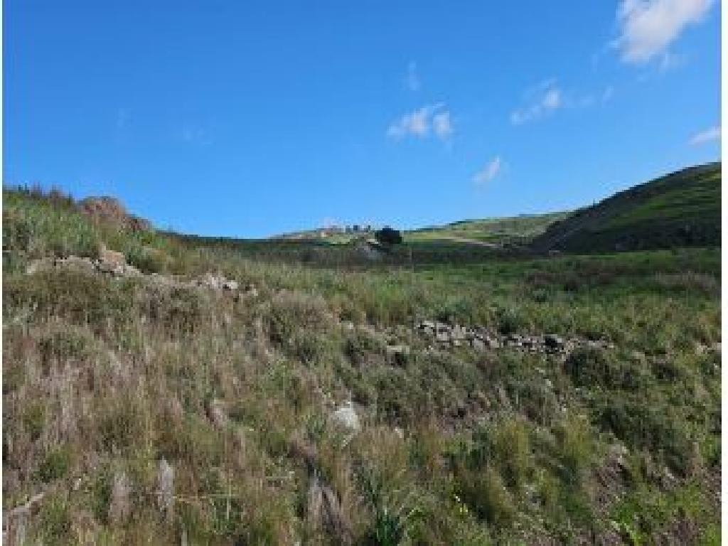 Field - Thrinia, Paphos