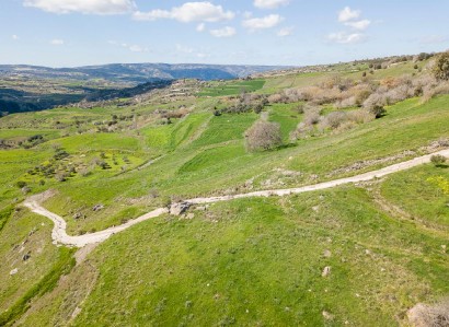 Thrinia, Paphos Residential Field For Sale | WW29243