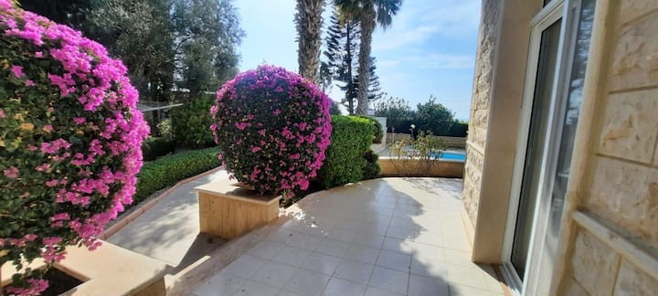 Detached Villa For Sale  in  Chlorakas
