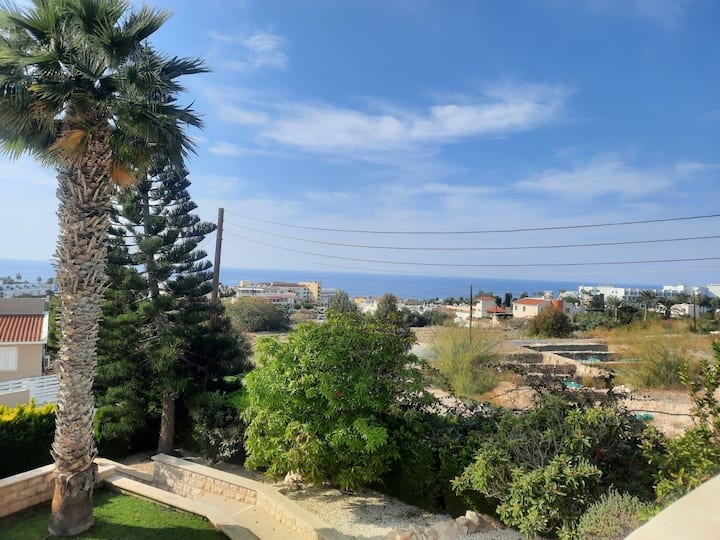 Detached Villa For Sale  in  Chlorakas