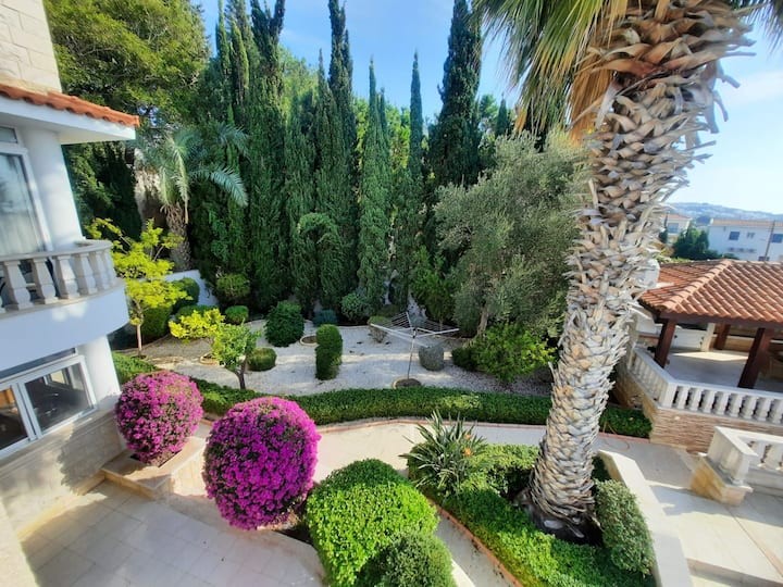 Detached Villa For Sale  in  Chlorakas
