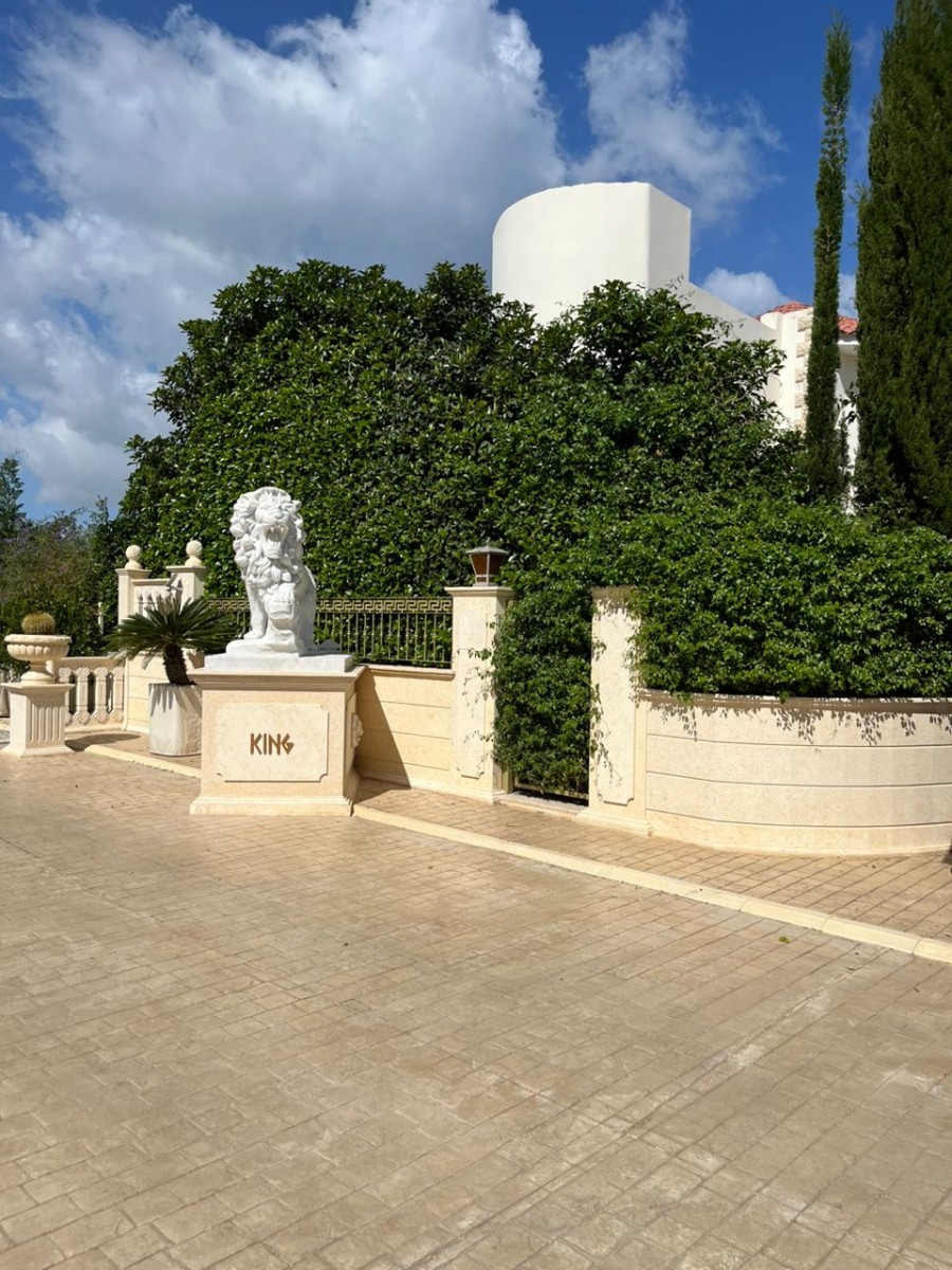 Detached Villa For Sale  in  Argaka