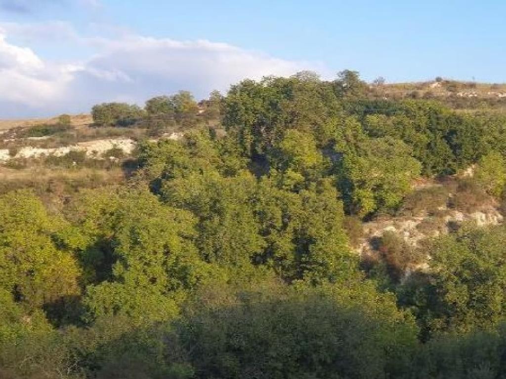 Stroumbi, Paphos Agricultural Field For Sale | WW29250