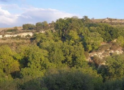 Stroumbi, Paphos Agricultural Field For Sale | WW29250