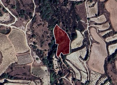 Stroumbi, Paphos Agricultural Field For Sale | WW29250