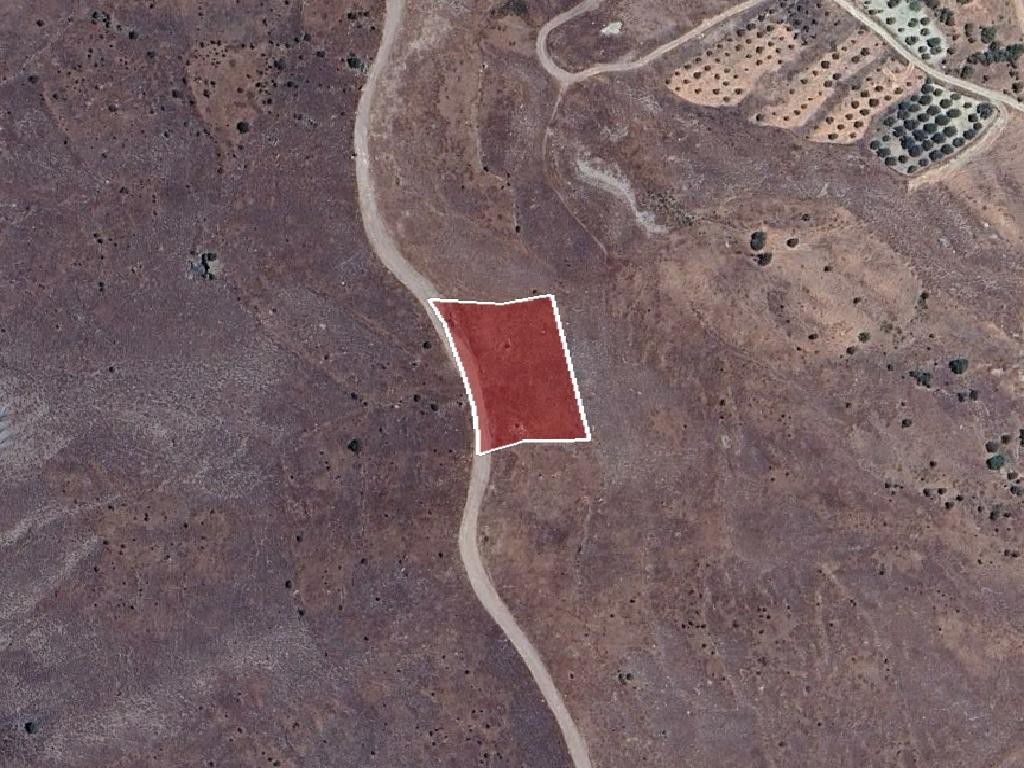 Field - Koilineia, Paphos