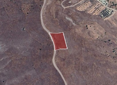 Koilineia, Paphos Agricultural Field For Sale | WW29251