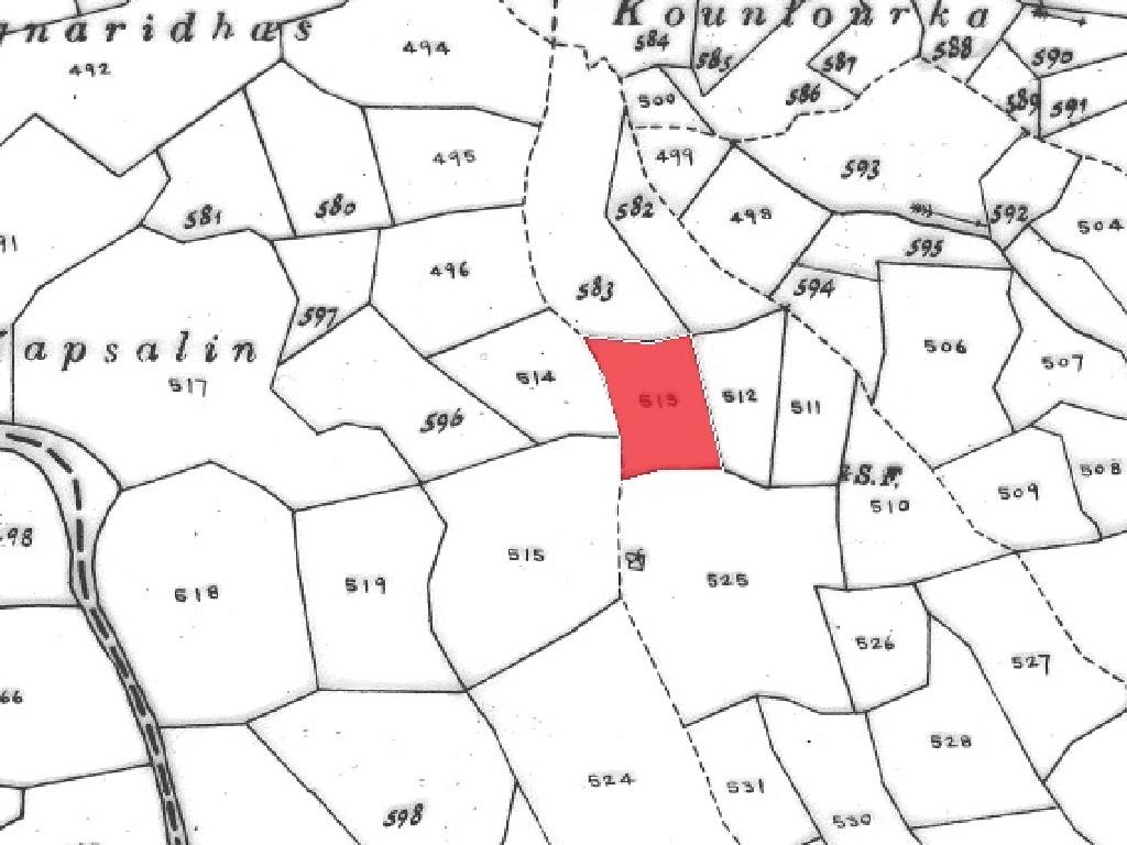 Field - Koilineia, Paphos