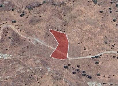 Koilineia, Paphos Agricultural Field For Sale | WW29252