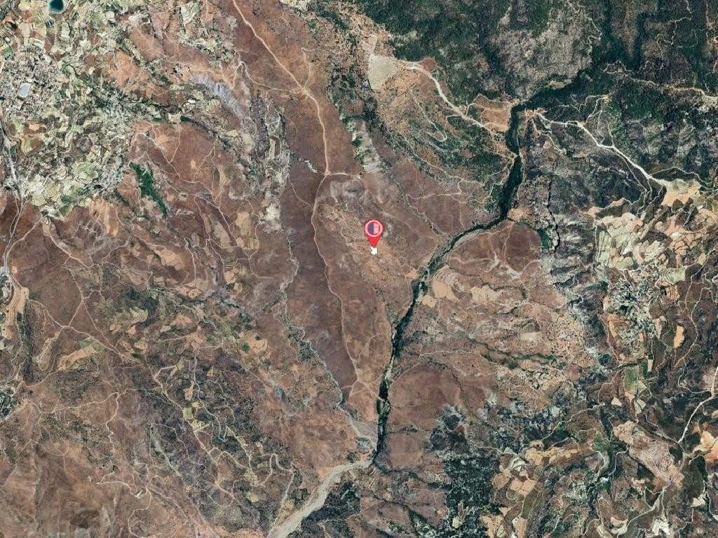 Field - Koilineia, Paphos