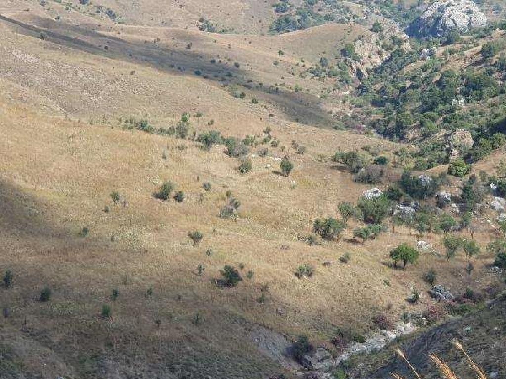Koilineia, Paphos Agricultural Field For Sale | WW29254