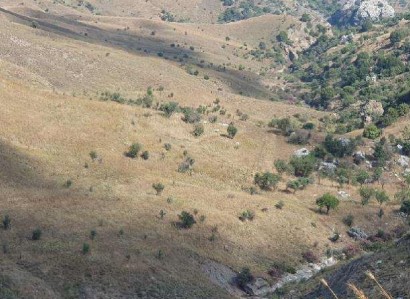 Koilineia, Paphos Agricultural Field For Sale | WW29254