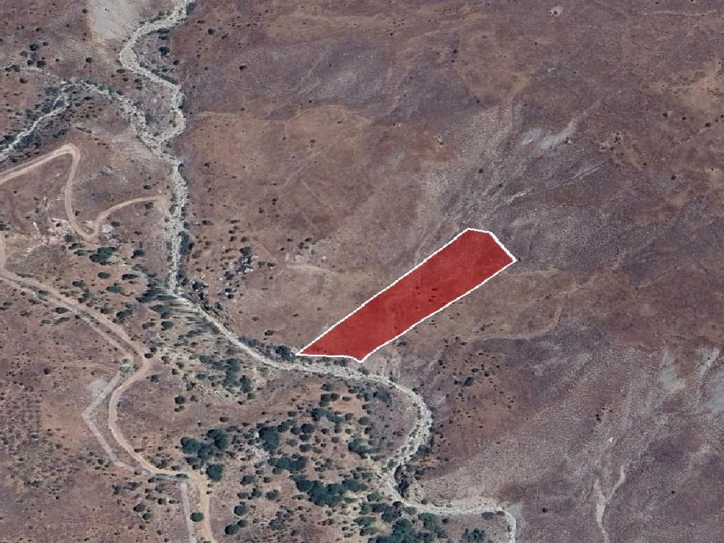 Field - Koilineia, Paphos