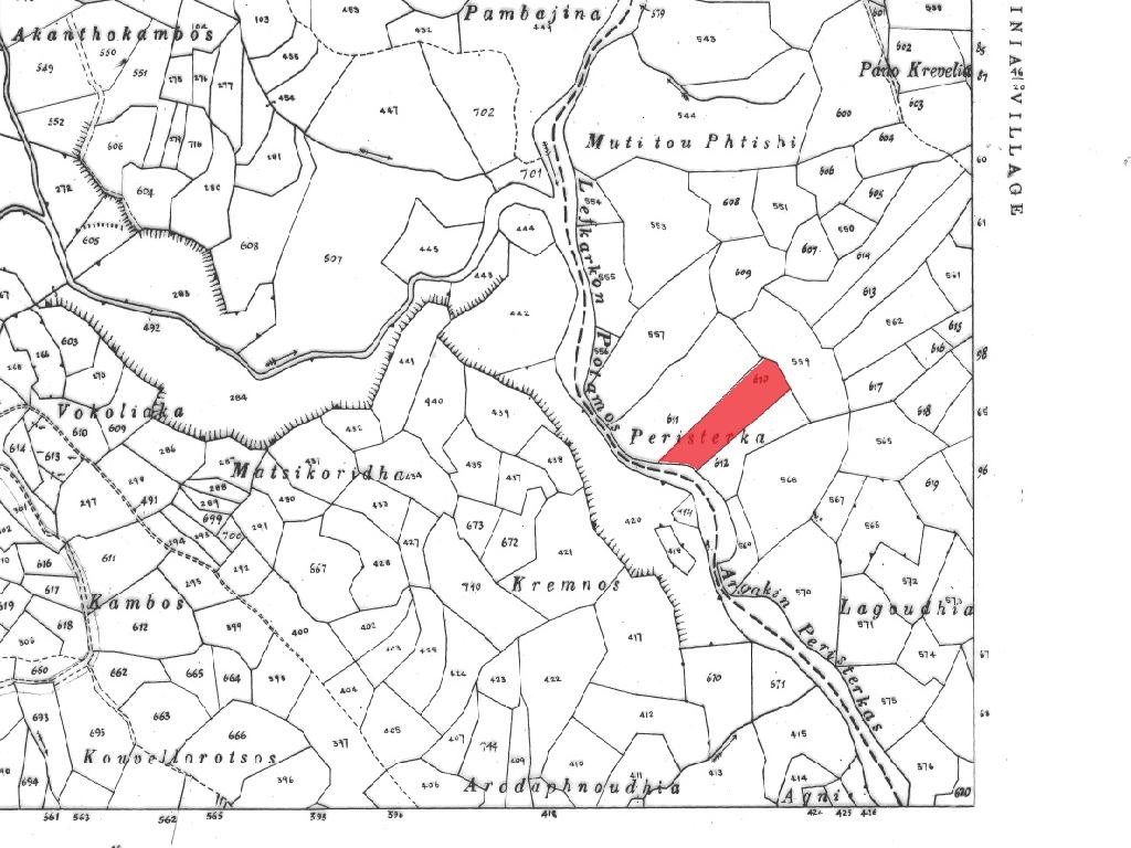 Field - Koilineia, Paphos