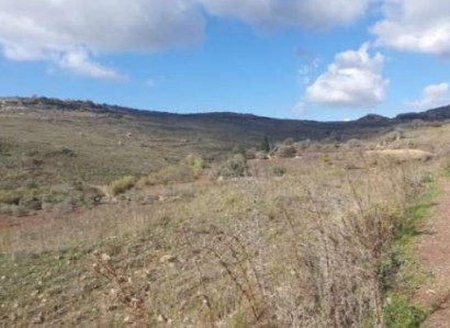 Ineia, Paphos Agricultural Field For Sale | WW29255