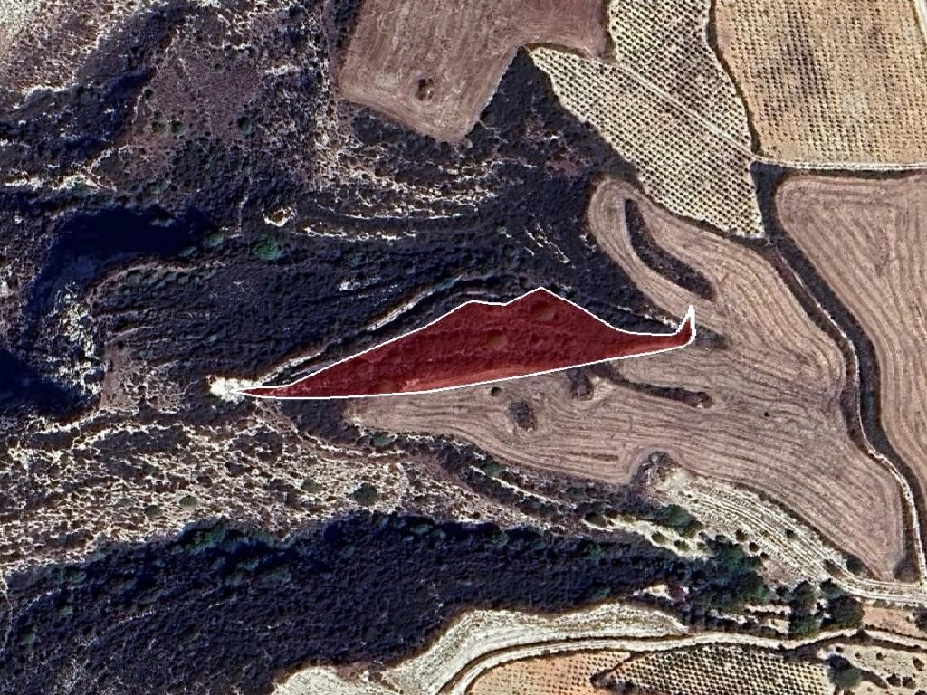 Field - Akoursos, Paphos