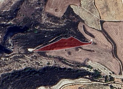 Akoursos, Paphos Agricultural Field For Sale | WW29259