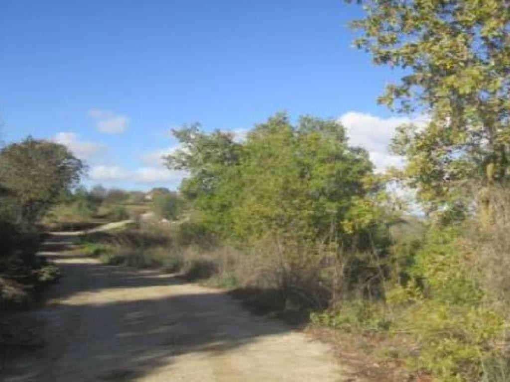 Polemi, Paphos Agricultural Field For Sale | WW29266