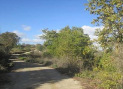 Polemi, Paphos Agricultural Field For Sale | WW29266