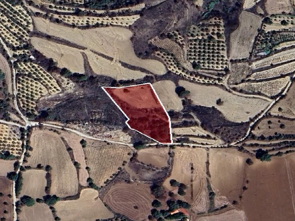 Field - Polemi, Paphos