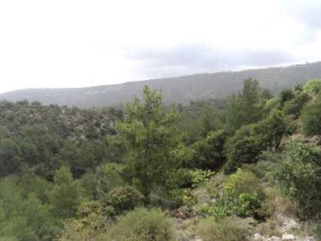 Prastio, Paphos Agricultural Field For Sale | WW29270
