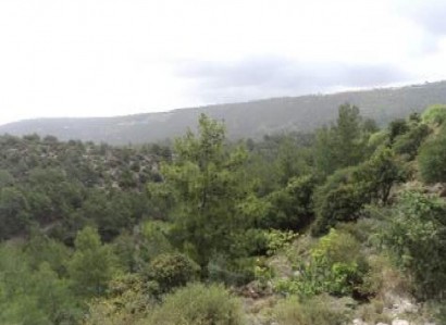 Prastio, Paphos Agricultural Field For Sale | WW29270