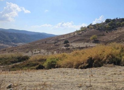 Agios Dimitrianos Agricultural Field For Sale | WW29267