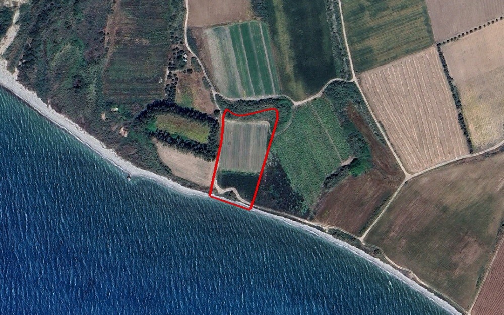Kouklia, Paphos Agricultural Field For Sale | WW29288