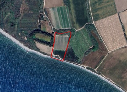 Kouklia, Paphos Agricultural Field For Sale | WW29288
