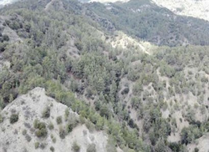 Pera Pedi, Limassol Agricultural Field For Sale | WW29332