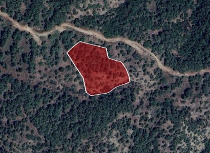 Pera Pedi, Limassol Agricultural Field For Sale | WW29332